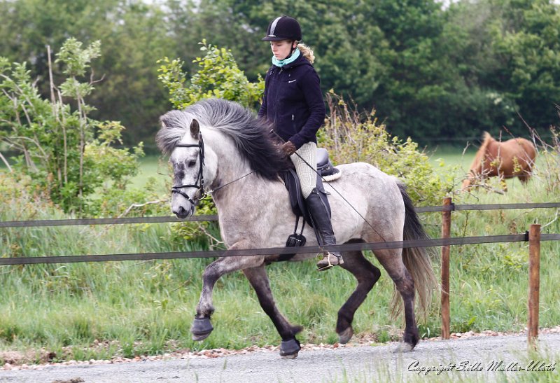 Arndis 2011_05_29 b.jpg - Arndis und Katharina - Probereiten auf der Passbahn auf Heesberg